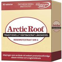 gravid med hjälp av rosenrot gravid med hjälp av rosenrot